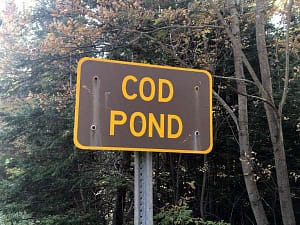 Cod Pond Sign