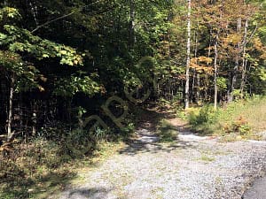 East Branch Gorge Entry Road
