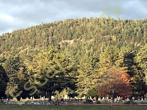 Panther Mountain from the Dog Park